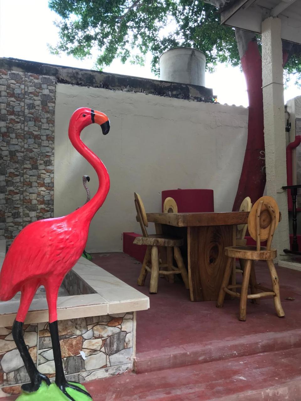 Mi Casa Hostel Ríohacha Εξωτερικό φωτογραφία